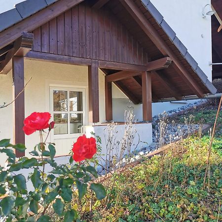 Hohegeiß Ferienwohnung Sonnenblume מראה חיצוני תמונה