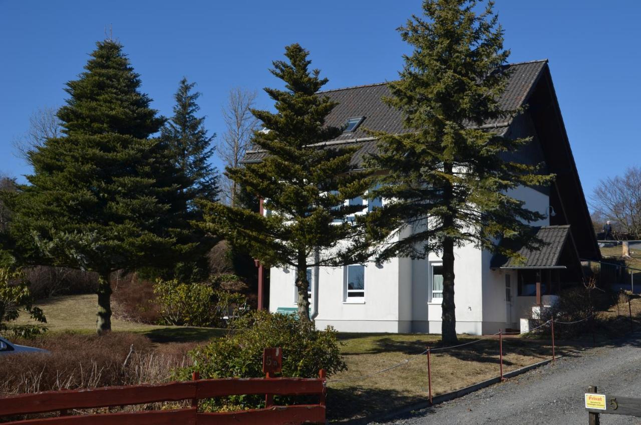 Hohegeiß Ferienwohnung Sonnenblume מראה חיצוני תמונה