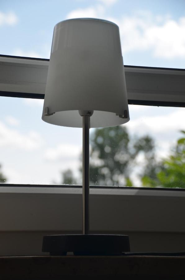 Hohegeiß Ferienwohnung Sonnenblume מראה חיצוני תמונה