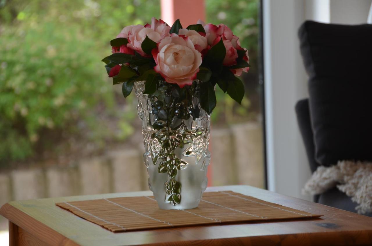 Hohegeiß Ferienwohnung Sonnenblume מראה חיצוני תמונה