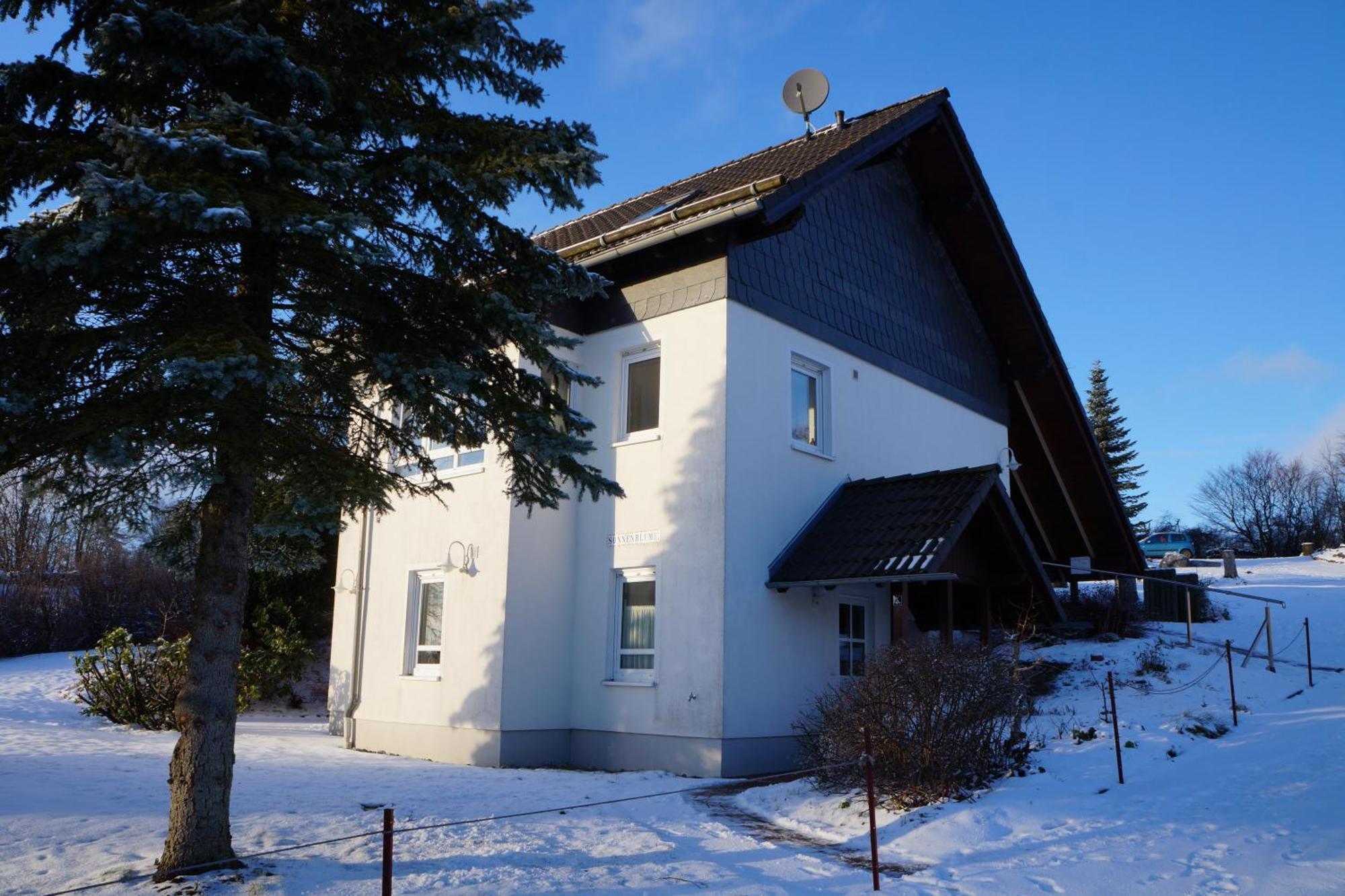 Hohegeiß Ferienwohnung Sonnenblume מראה חיצוני תמונה