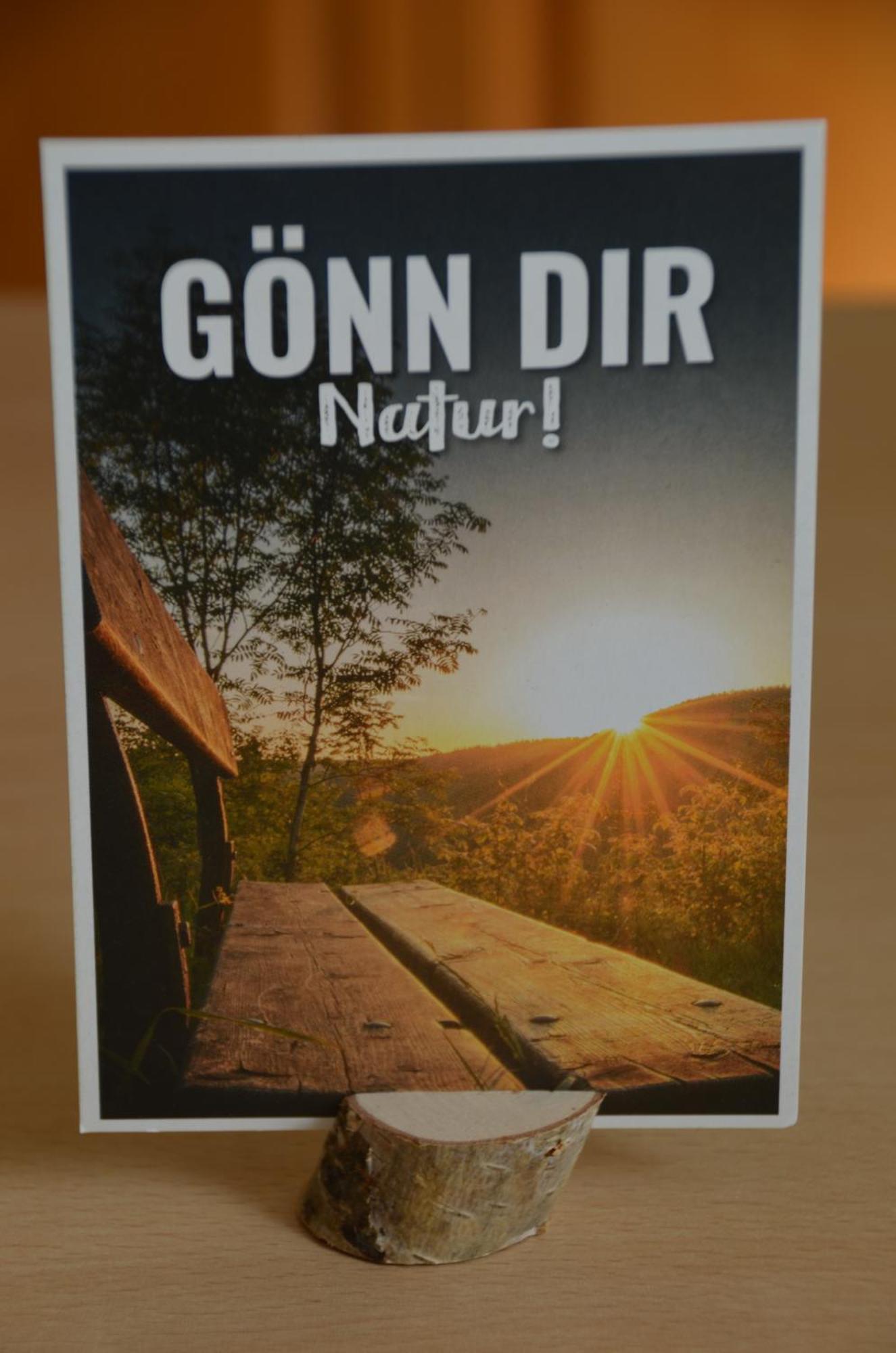 Hohegeiß Ferienwohnung Sonnenblume מראה חיצוני תמונה