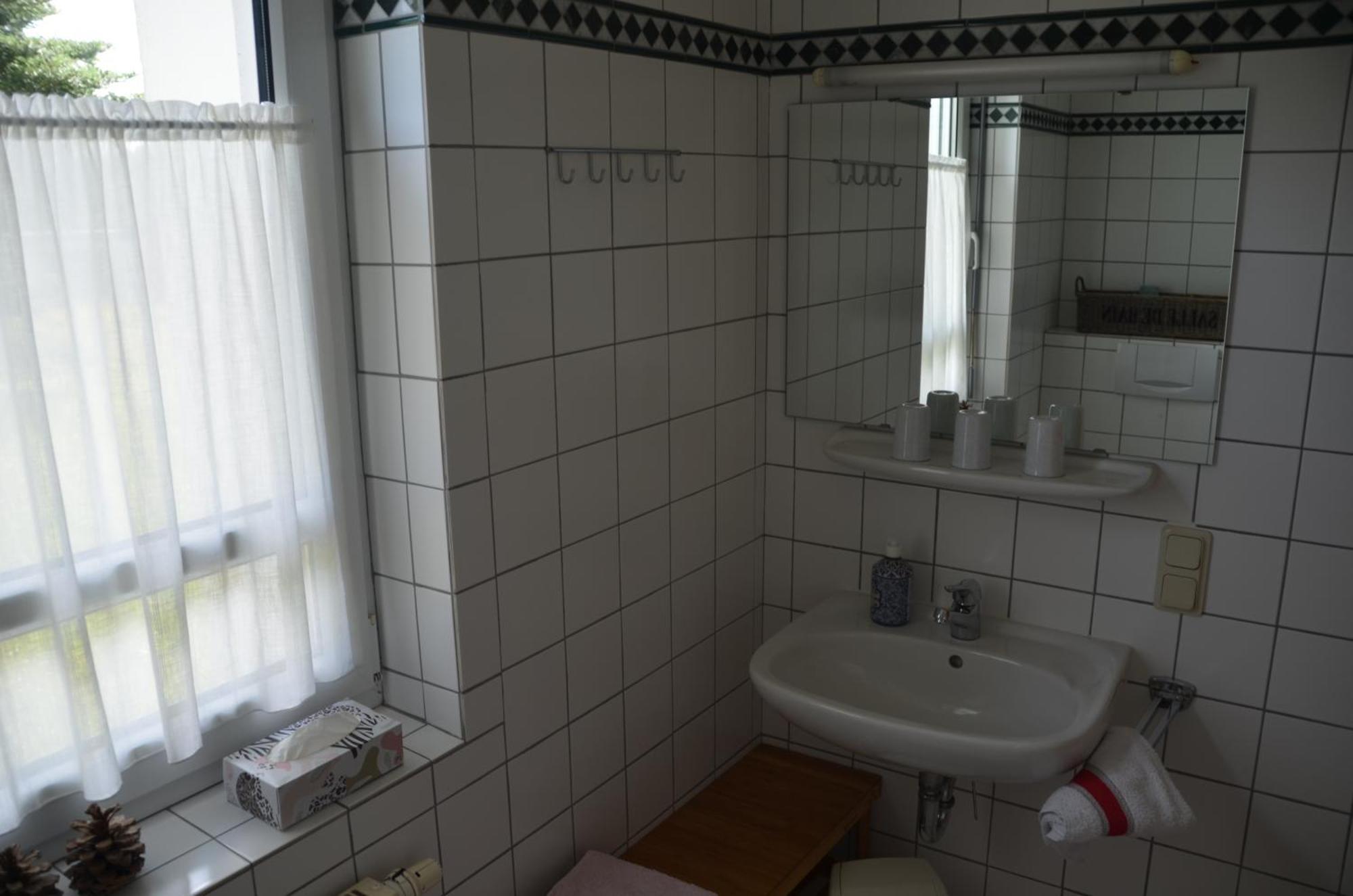Hohegeiß Ferienwohnung Sonnenblume מראה חיצוני תמונה