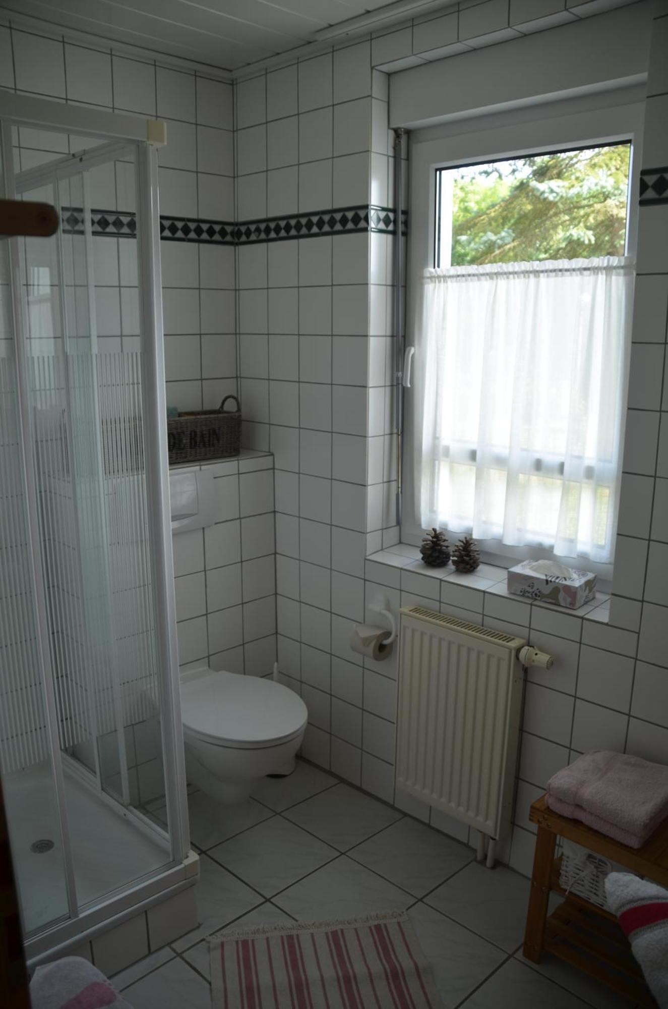 Hohegeiß Ferienwohnung Sonnenblume מראה חיצוני תמונה